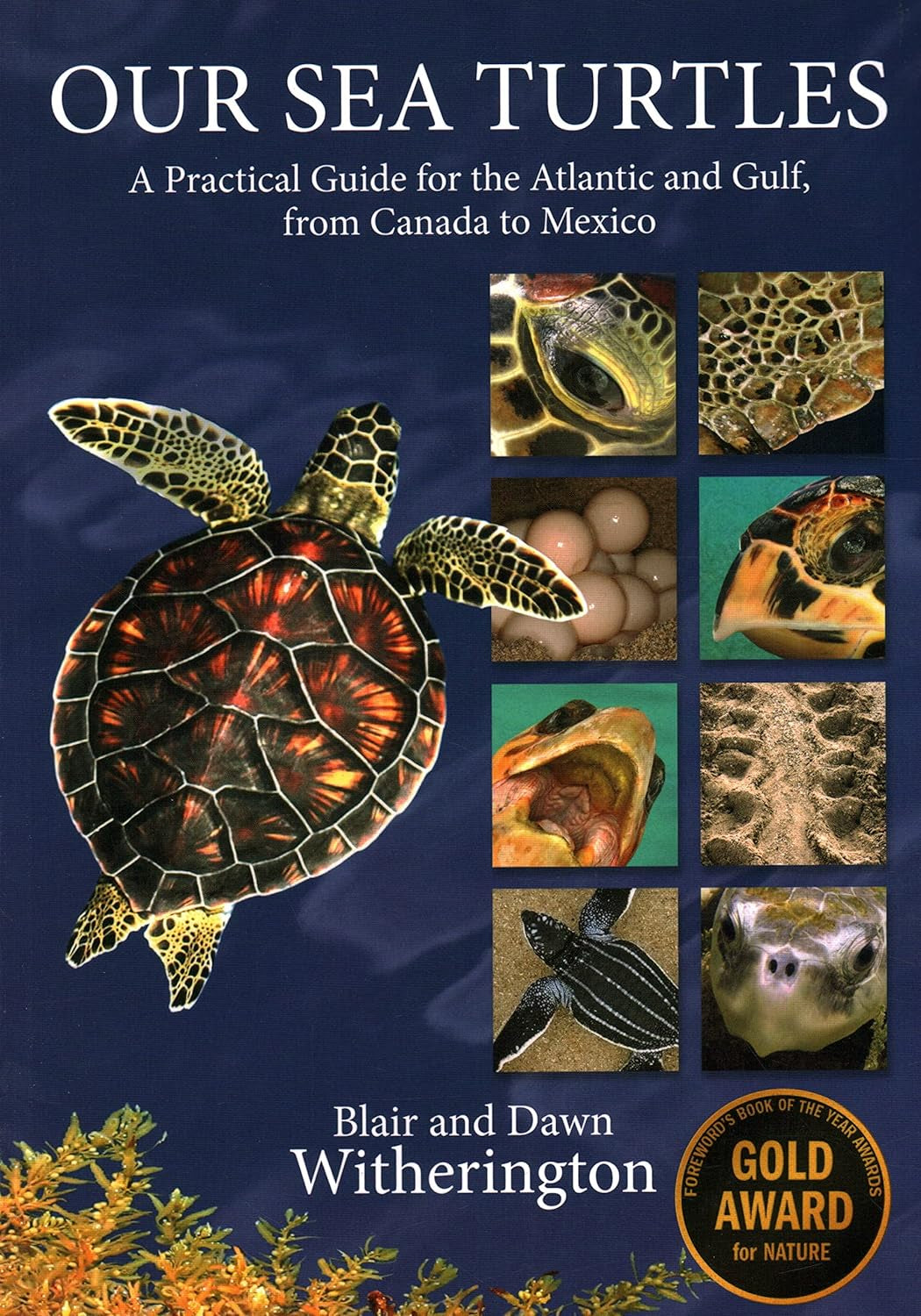 Our Sea Turtles: a Practical Guide for the Atlantic and Gulf, from Canada to Mexico