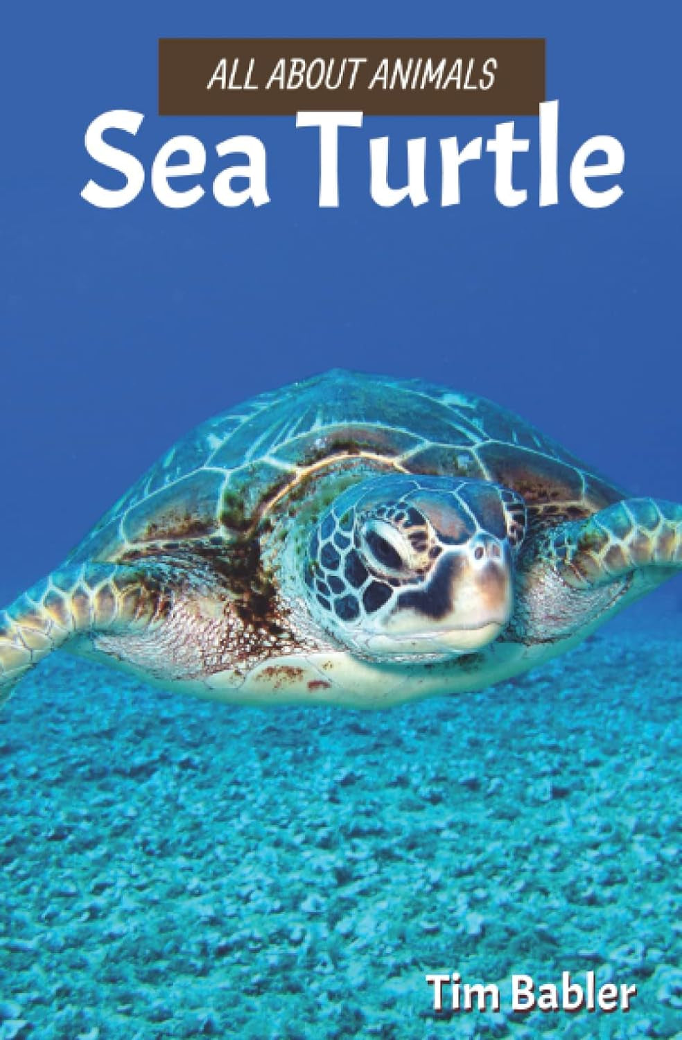 All about Animals - Sea Turtle