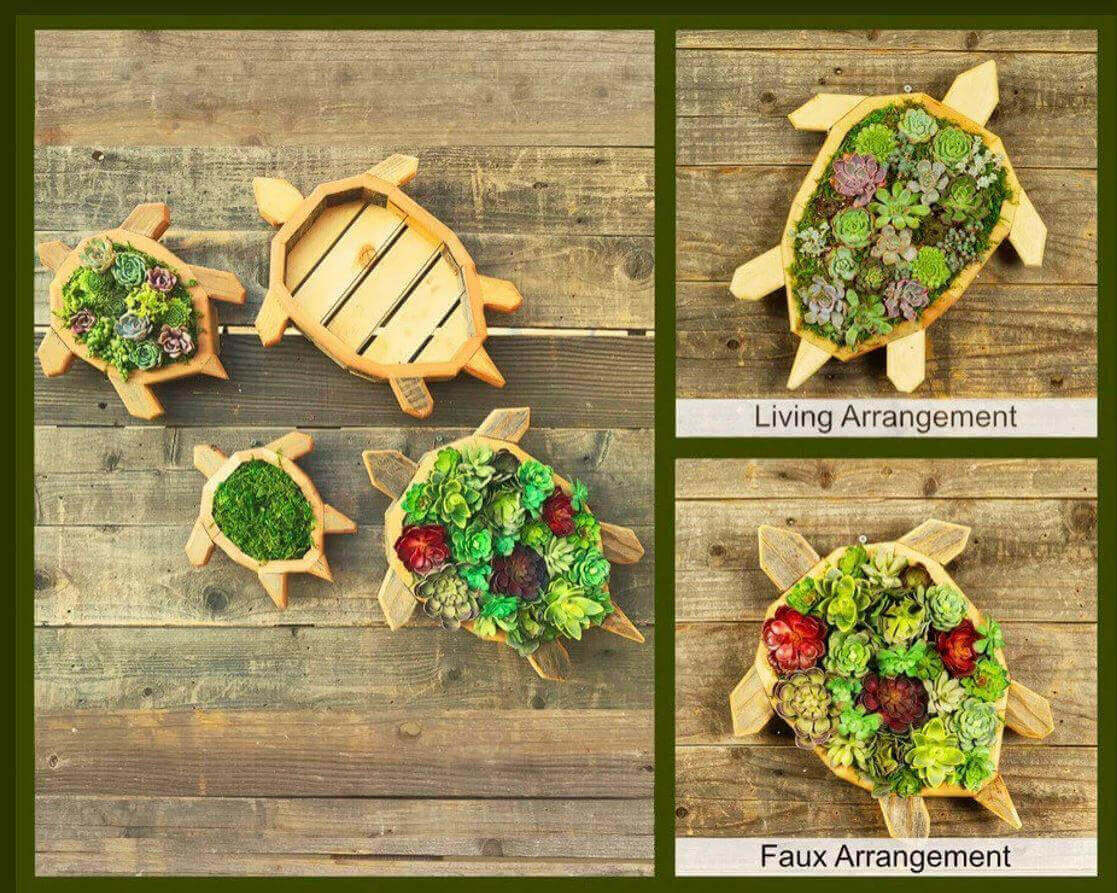 Sea Turtle Succulent For Ourdoor Garden Create A Long-Lasting Outdoor Succulent Display with This Handcrafted Sea Turtle Planter Handmade urban redwood and cedar frame built to last for years Drainage system keeps succulents healthy by preventing overwate