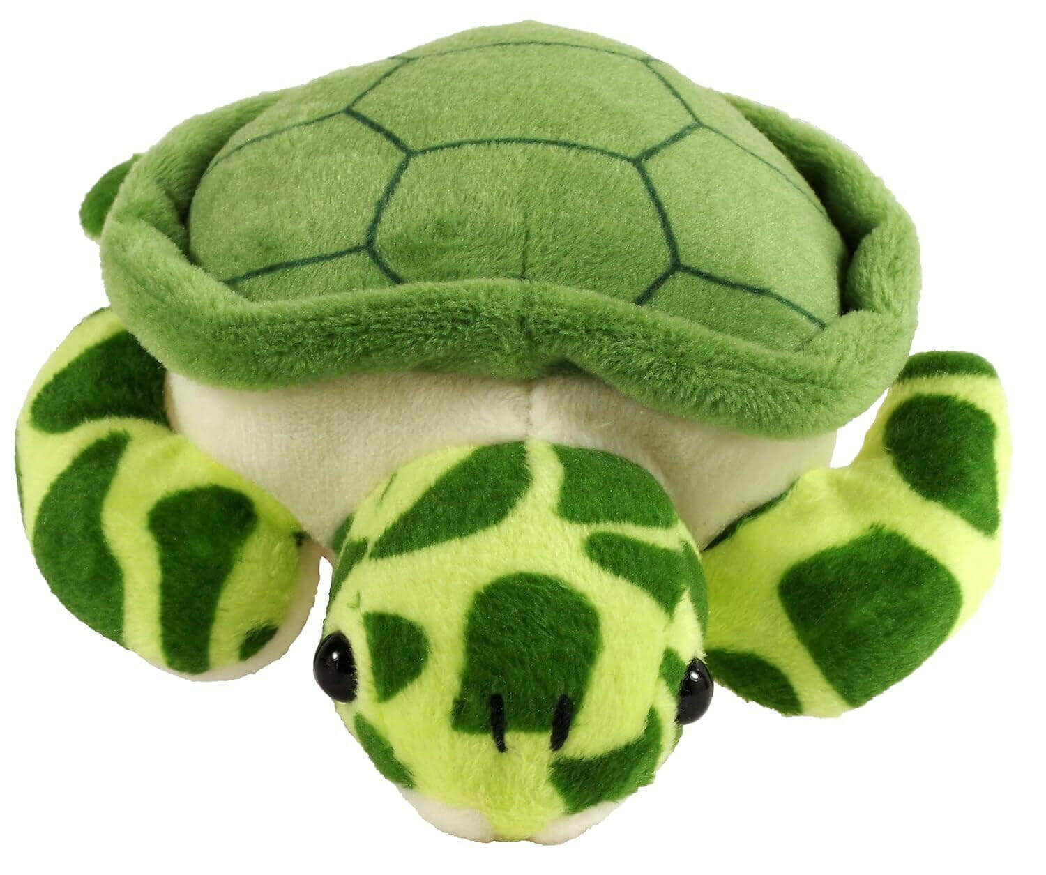 Hug a Sea Turtle Kit (Book with Plush) Sea turtles may grow up to be gentle giants, but they start out tiny -- like the bitty one in this box! Cuddle up with this mini plush sea turtle! Then open the ''How to Hug a Sea Turtle'' guide to learn about these